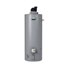 A. O. Smith GPVL-50 2*1