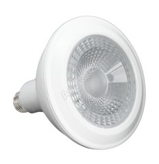 CENTURY PAR38-152730