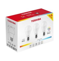 TOSHIBA DELS-BL548P5B0AE23