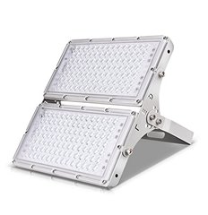 Viugreum ZG0006311  C8F2