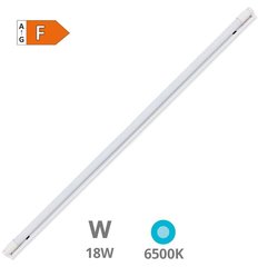 GSC EVOLUTION 203810009