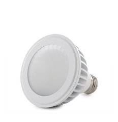 GreenIce HO-PAR30-12W-WW