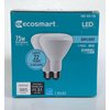 EcoSmart 10030343##