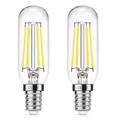 DR. FISCHER  T25L 40W E14 DAYLIGHT BLUE