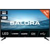 Salora 40D210