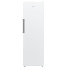 Beko B1RFNE314W