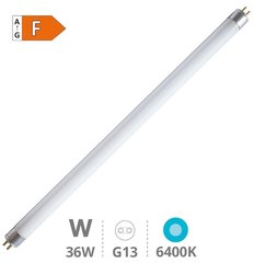 GSC EVOLUTION 002000587