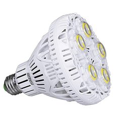 SANSI C21BB-3E27-30W 