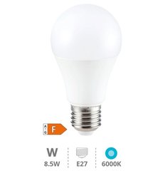 GSC EVOLUTION 200601033