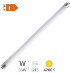 GSC EVOLUTION 002003476