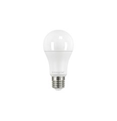 Integral LED ILGLSE27NF096