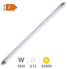 GSC EVOLUTION 002003477