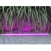 Xenon 9653 LED Leuchtstab 10 W 63 cm IP-44 K-Röhre Pink