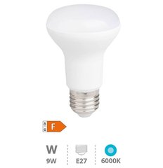 GSC EVOLUTION 200616008