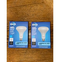 EarthBulb LBR3850DLL