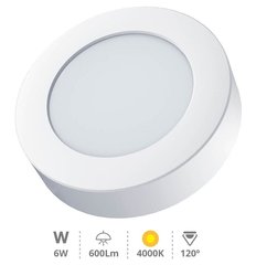 GSC EVOLUTION 201005019