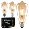 Blewandy 6W E27 Vintage Bulb ST64