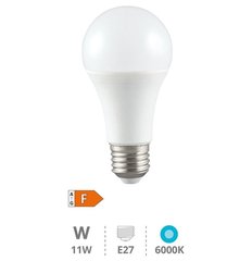 GSC EVOLUTION 200601036