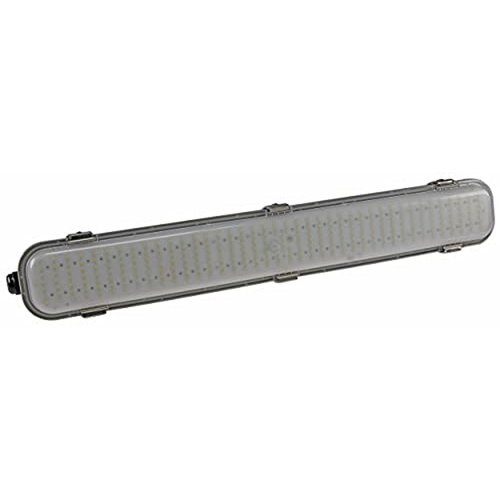 ChiliTec 21584