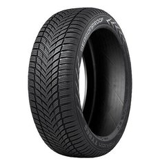 Nokian T431399