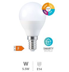 GSC EVOLUTION 200651002