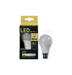 FLASHLIGHT AMPOLE079