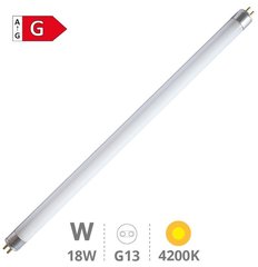 GSC EVOLUTION 002003475