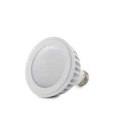 GreenIce HO-PAR30-12W-W