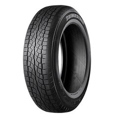Bridgestone 6718