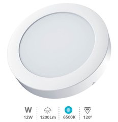 GSC EVOLUTION 201005022