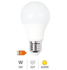 GSC EVOLUTION 200601029