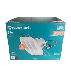 EcoSmart 1001653666