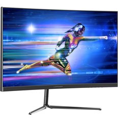 LC-Power LC-M24-FHD-165-C