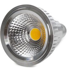GreenIce HO-PAR30-20W-W