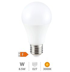 GSC EVOLUTION 200601031