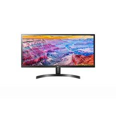 LG Electronics 29WL500