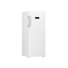 Beko RFNE270E33WN