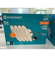EcoSmart 311945827
