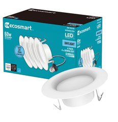 EcoSmart 1002936683