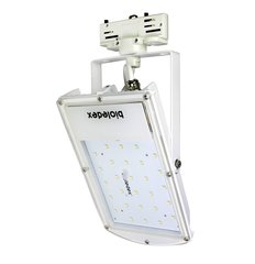 Bioledex LFL-31A2-856