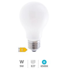 GSC EVOLUTION 200601052