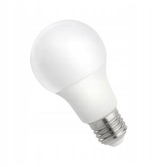 SMART HOME A60 13W 6500K E27