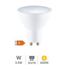 GSC EVOLUTION 200621010