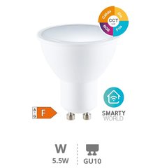 GSC EVOLUTION 200651005