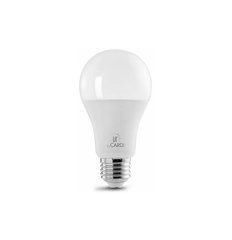 LIT by CARDI 0019590018