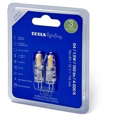 TESLA lighting G4001540-PACK2