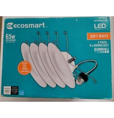 EcoSmart 1002936719
