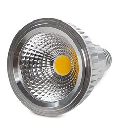 GreenIce HO-PAR30-20W-CW